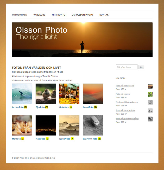 Hemsidor i Helsingborg med wordpress och woocommerce
